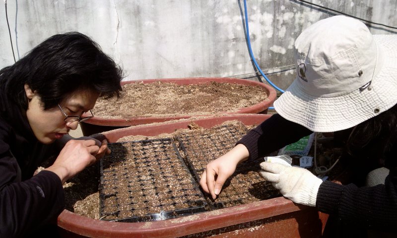 2011-04-05 11.13.33.jpg